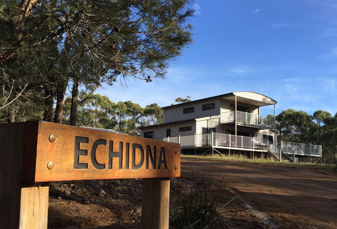 Echidna On Bruny - Flights 0