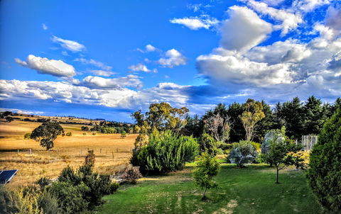 Dairy Park Farm Stay Bed And Breakfast - Flights 1