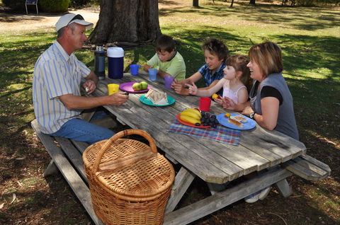 Naracoorte Caves Camping And Accomodation - Flights 0