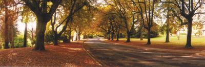La Trobe At Beechworth - Flights 0