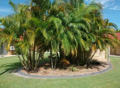 Yamba Motor Inn - Flights 5