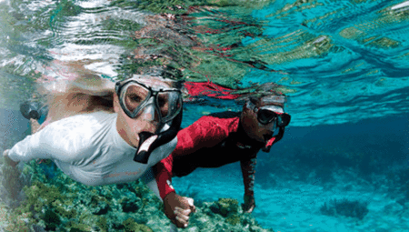 Snorkel Safari Brisbane - Flights 1