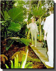 Daintree Rainforest River Trains - Flights 1