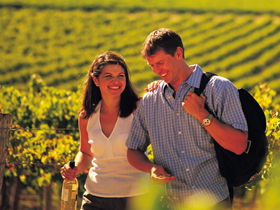 Lady Bay Vineyard - Flights 0