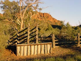 Illamurta Springs Conservation Reserve - Flights 0