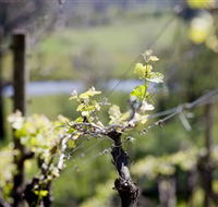 Downing Estate - Flights