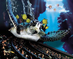 IMAX Theatre Sydney - Flights 0