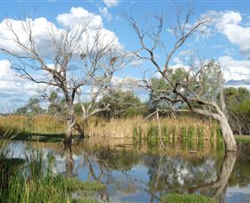 Lagoon Creek - Flights 0