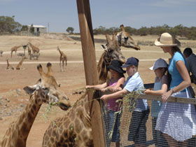 Monarto South SA Flights