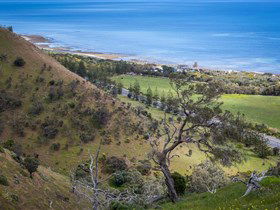 Lady Bay Beach - Flights 1