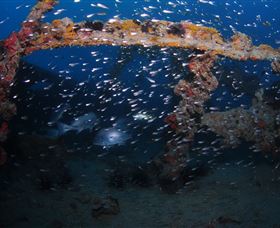 Lady Bowen Dive Site - Flights 1
