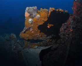 Lady Bowen Dive Site - Flights 0