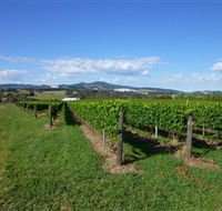 Hedberg Hill Wines - Flights