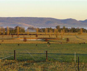 Holbrook Landcare Self-Drive Eco Tour - Flights 0