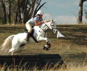 National Equestrian Centre - Kerrabee - Flights 0