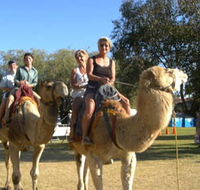Calamunnda Camel Farm  - Flights