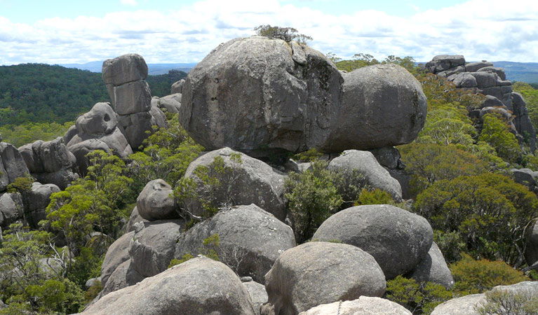 Hernani NSW Flights