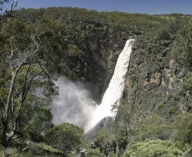 Dorrigo NSW Flights