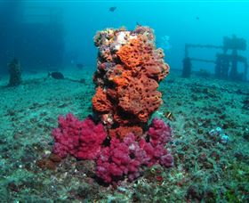 HMAS Brisbane Dive Site - Flights 0