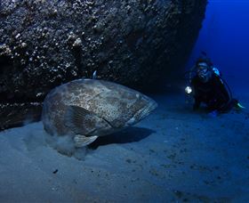 HMAS Brisbane Dive Site - Flights 3