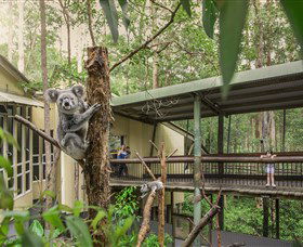 Daisy Hill Koala Centre - Flights 0