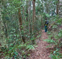 Blackbutt walking track - Flights