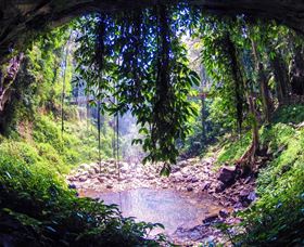 Dorrigo Rainforest Centre - Flights 1