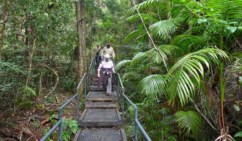 Falls Walking Track - Flights 2