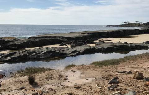 Yamba Tours And Charters - Flights 0
