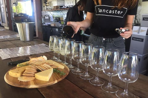 Half Day Swan Valley Wine Tour - Flights 1