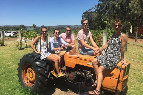 Half Day Swan Valley Wine Tour - Flights 6