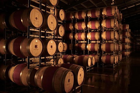 Vasse Felix Epicurean Tour And Tasting Experience With 5 Course Lunch - Flights 3