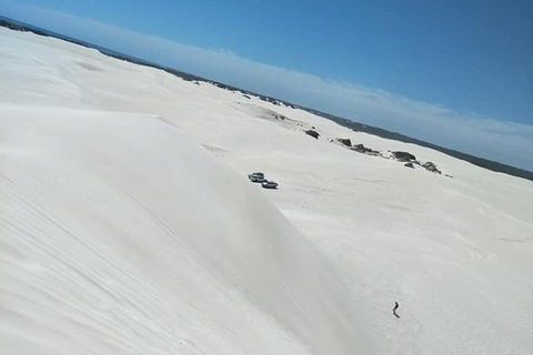 Yanchep & Lancelin - Wildlife, Cave And Sands - Flights 3