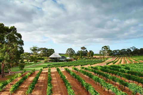 Vasse Felix Winery Tour And Tasting - Flights 0