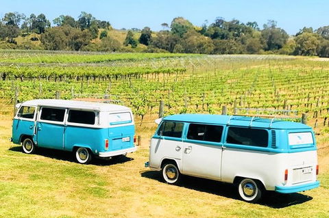 VW Kombi Wine Tour In The Swan Valley - Flights 6
