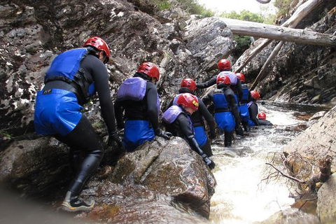 Half Day Cradle Mountain Canyoning: Lost World Canyon - Flights 1