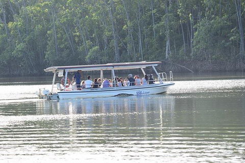 Daintree - Cape Tribulation & Atherton Tablelands Tours From Port Douglas - Flights 16