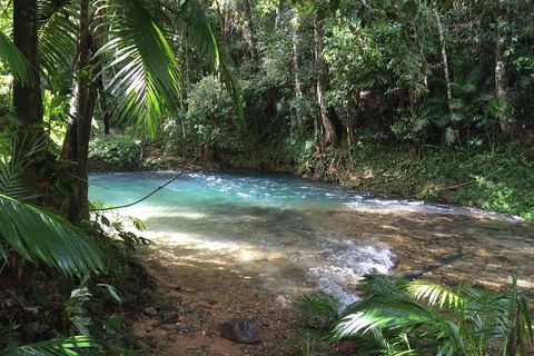 Daintree - Cape Tribulation & Atherton Tablelands Tours From Port Douglas - Flights 5