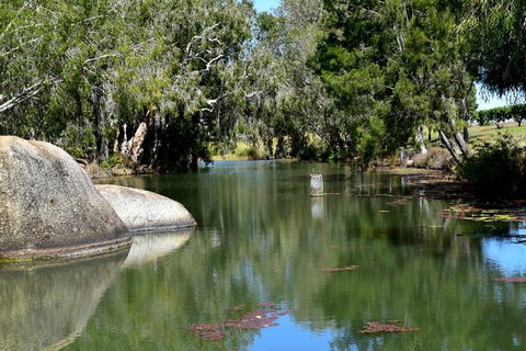 Daintree - Cape Tribulation & Atherton Tablelands Tours From Port Douglas - Flights 28