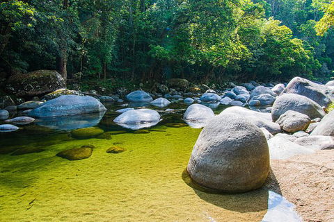 Daintree - Cape Tribulation & Atherton Tablelands Tours From Port Douglas - Flights 6