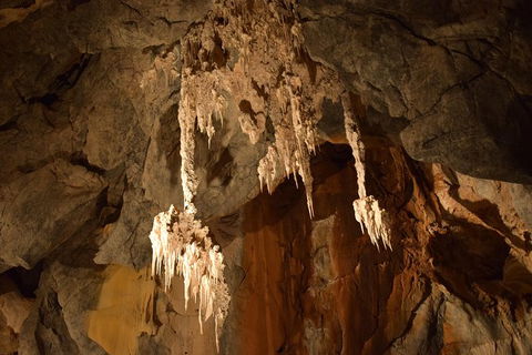 Daintree - Cape Tribulation & Atherton Tablelands Tours From Port Douglas - Flights 23