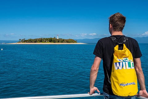 Half Day Low Isles Snorkelling Tour From Port Douglas - Flights 1