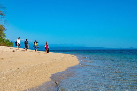 Half Day Low Isles Snorkelling Tour From Port Douglas - Flights 3