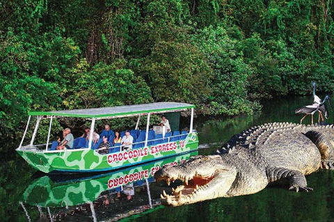 Daintree River Cruise - Flights 0