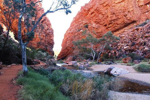 Half Day MacDonnell Ranges Small Group - Private Guided Tour - Flights 0