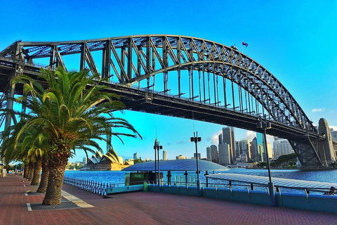 Half Day In Sydney With A Local: Private & Personalized - Flights 10