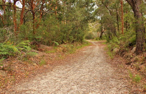 Daleys Point Walking Track - Flights 0