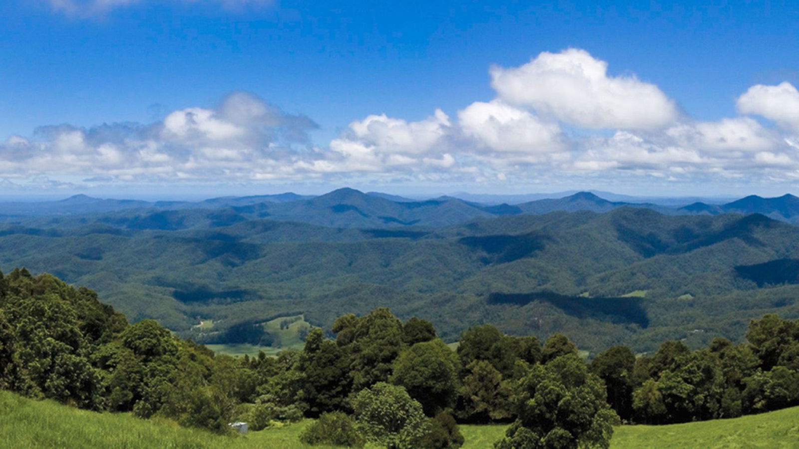 North Dorrigo NSW Flights