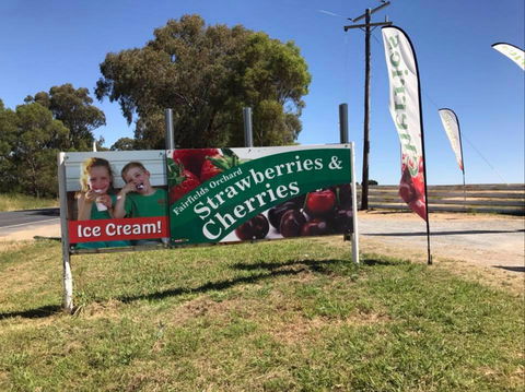 Fairfield Orchard - Flights 0