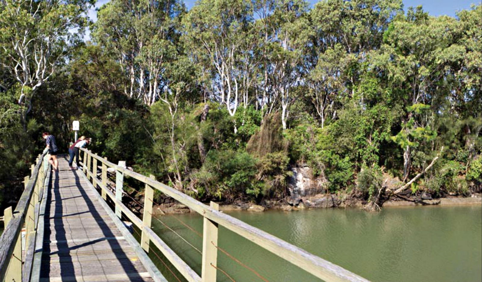 Dirty Creek NSW Flights
